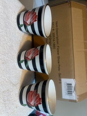 McKenzie Child’s Striped Floral Ceramic Planter Trio with Gold Rim